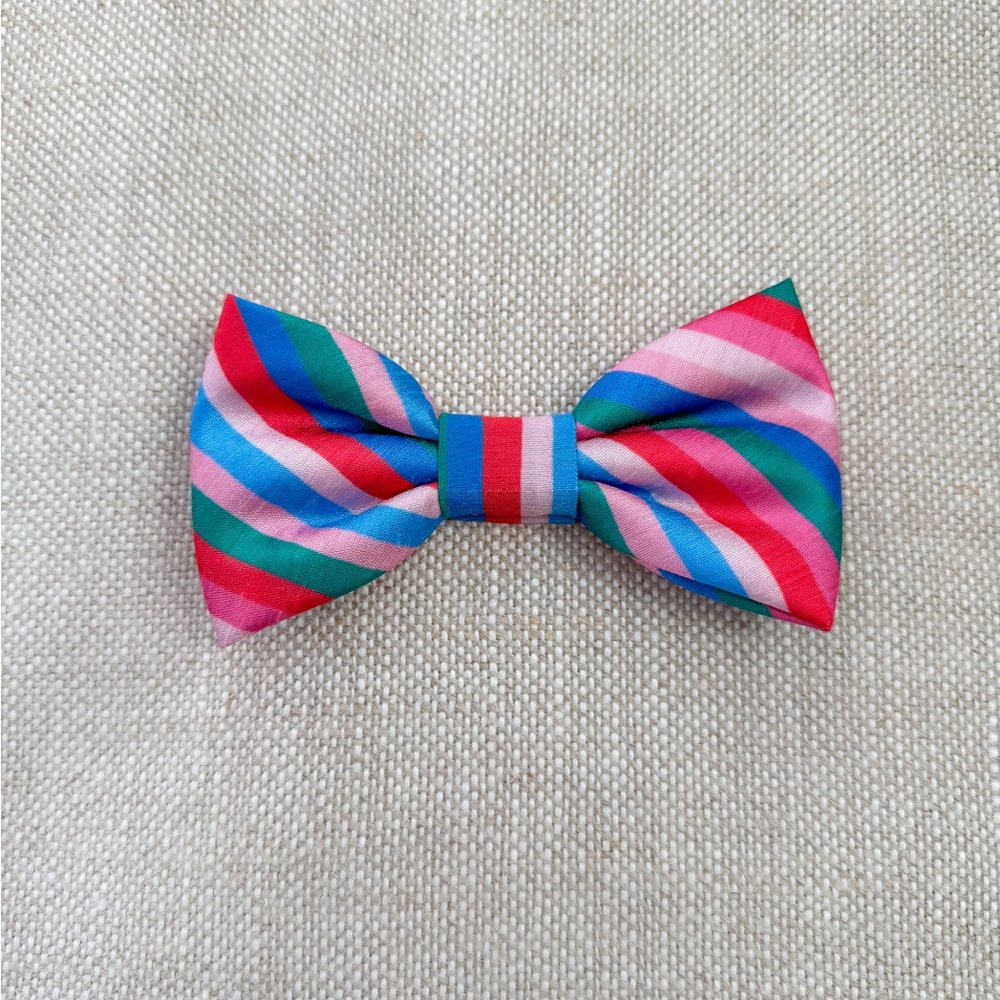 The Foggy Dog Multicolor Striped Bow Tie
